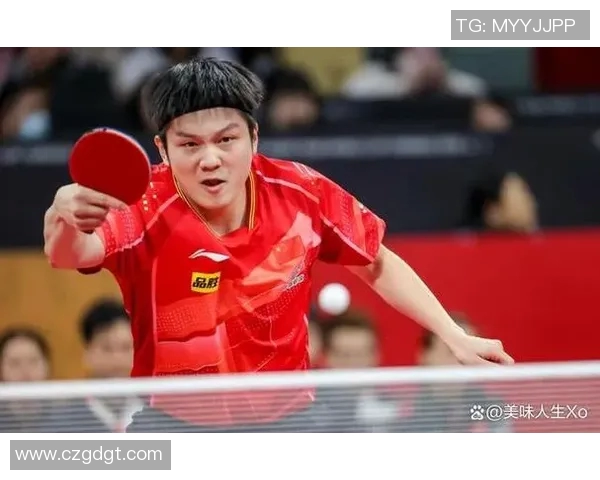 成都乒乓球队展现出色团队协作精神助力联赛佳绩分析